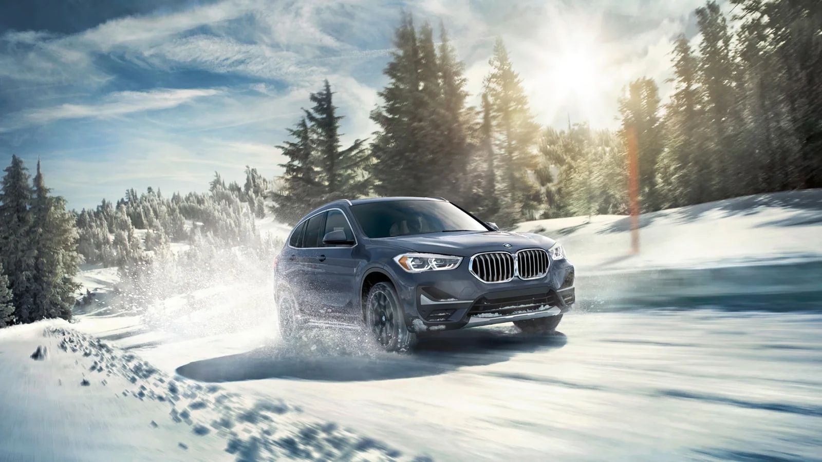 2022 BMW X1 for sale in Rockford, IL